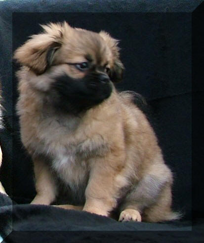 LIEF HE........