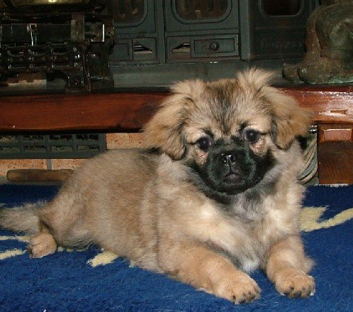 BEN IK NIET LIEF......?????????