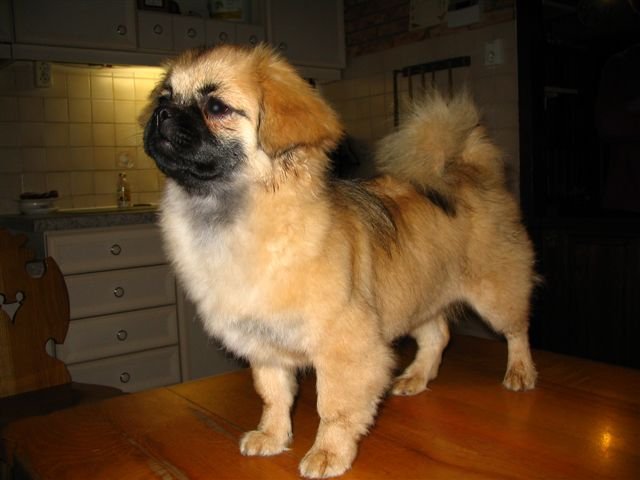 Tycha...5 maanden...